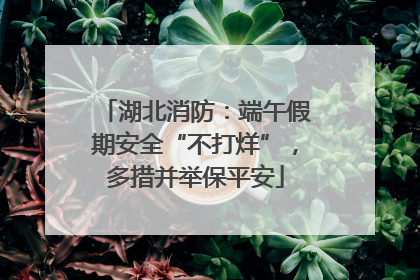 湖北消防：端午假期安全“不打烊”，多措并举保平安
