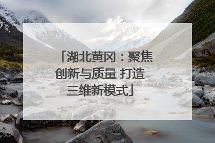 湖北黄冈：聚焦创新与质量 打造三维新模式