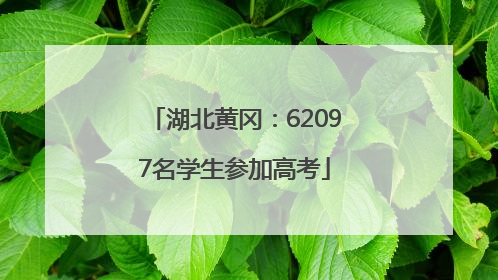 湖北黄冈：62097名学生参加高考