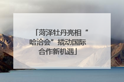 菏泽牡丹亮相“哈洽会”撬动国际合作新机遇