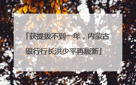 获提拔不到一年，内蒙古银行行长洪少平再履新