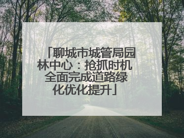聊城市城管局园林中心：抢抓时机 全面完成道路绿化优化提升