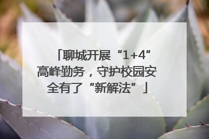 聊城开展“1+4”高峰勤务，守护校园安全有了“新解法”