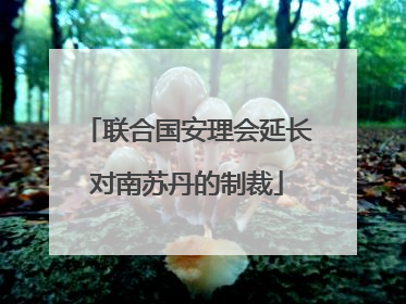 联合国安理会延长对南苏丹的制裁
