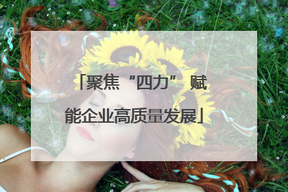 聚焦“四力” 赋能企业高质量发展