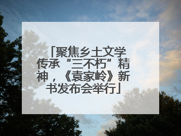 聚焦乡土文学 传承“三不朽”精神，《袁家岭》新书发布会举行