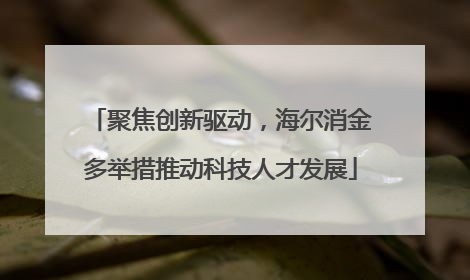 聚焦创新驱动，海尔消金多举措推动科技人才发展