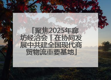 聚焦2025年廊坊经洽会丨在协同发展中共建全国现代商贸物流重要基地