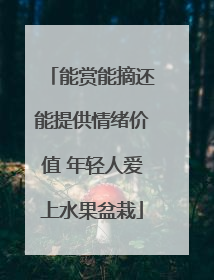 能赏能摘还能提供情绪价值 年轻人爱上水果盆栽