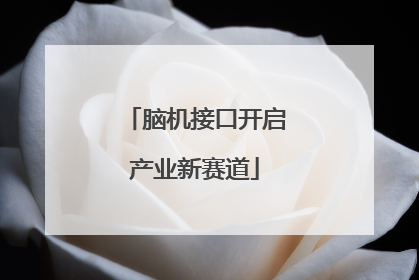 脑机接口开启产业新赛道