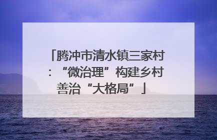 腾冲市清水镇三家村：“微治理”构建乡村善治“大格局”