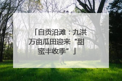 自贡沿滩：九洪万亩瓜田迎来“甜蜜丰收季”