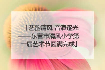 艺韵清风 音浪逐光——东营市清风小学第一届艺术节圆满完成