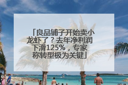 良品铺子开始卖小龙虾了?去年净利润下滑125%,专家称转型极为关键