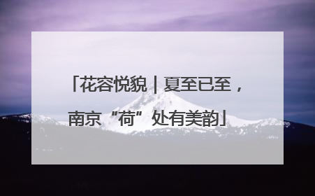 花容悦貌｜夏至已至，南京“荷”处有美韵