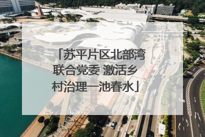 苏平片区北部湾联合党委 激活乡村治理一池春水