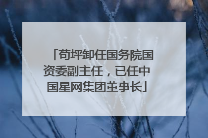 苟坪卸任国务院国资委副主任，已任中国星网集团董事长