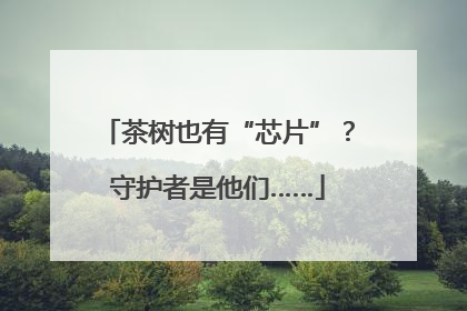 茶树也有“芯片”？守护者是他们……
