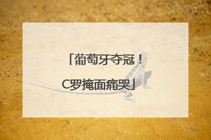 葡萄牙夺冠！C罗掩面痛哭