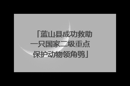 蓝山县成功救助一只国家二级重点保护动物领角鸮