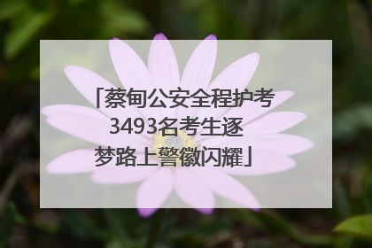 蔡甸公安全程护考 3493名考生逐梦路上警徽闪耀