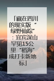 藏在四川的现实版“绿野仙踪”：宜宾深山罕见15公里“稻海”成打卡新地标