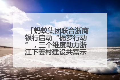 蚂蚁集团联合浙商银行启动“栀梦行动”，三个维度助力浙江下姜村建设共富示范区示范点