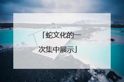 蛇文化的一次集中展示