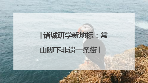 诸城研学新地标：常山脚下非遗一条街