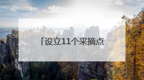 设立11个采摘点 武宁第十一届“新光杯”杨梅文化旅游节开幕（组图）