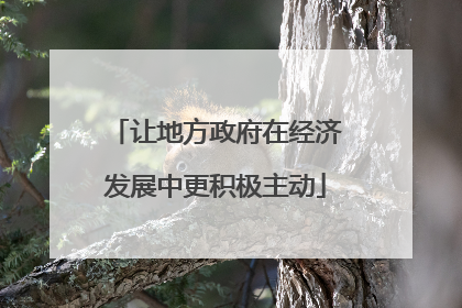 让地方政府在经济发展中更积极主动