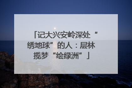 记大兴安岭深处“绣地球”的人：层林揽梦“绘绿洲”