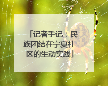 记者手记：民族团结在宁夏社区的生动实践