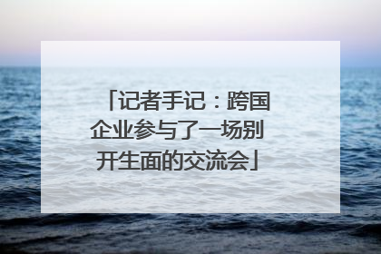 记者手记：跨国企业参与了一场别开生面的交流会