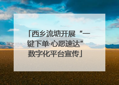 西乡流塘开展“一键下单·心愿速达”数字化平台宣传