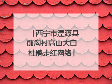 西宁市湟源县前沟村高山大白杜鹃走红网络
