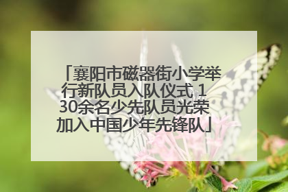 襄阳市磁器街小学举行新队员入队仪式 130余名少先队员光荣加入中国少年先锋队