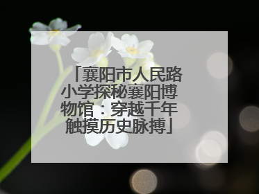 襄阳市人民路小学探秘襄阳博物馆：穿越千年触摸历史脉搏