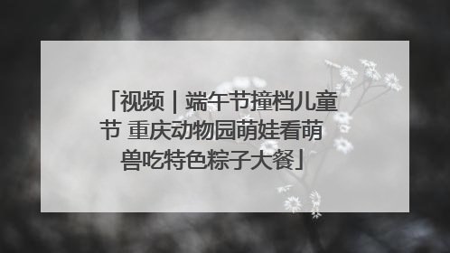 视频｜端午节撞档儿童节 重庆动物园萌娃看萌兽吃特色粽子大餐