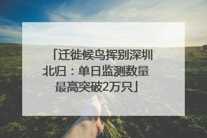 迁徙候鸟挥别深圳北归：单日监测数量最高突破2万只