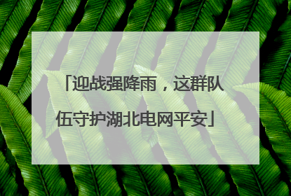迎战强降雨，这群队伍守护湖北电网平安