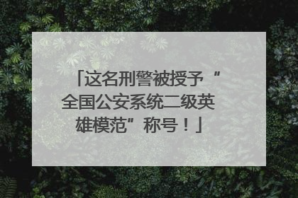 这名刑警被授予“全国公安系统二级英雄模范”称号！