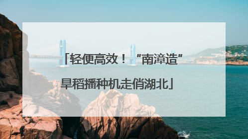 轻便高效！“南漳造”旱稻播种机走俏湖北