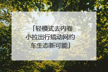 轻模式去内卷 小拉出行撬动网约车生态新可能