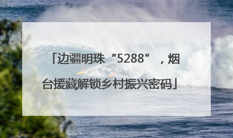 边疆明珠“5288”，烟台援藏解锁乡村振兴密码
