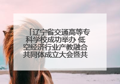 辽宁省交通高等专科学校成功举办 低空经济行业产教融合共同体成立大会暨共建低空经济产教融合新生态论坛