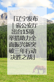 辽宁发布｜省公安厅出台15项举措助力全面振兴新突破三年行动决胜之战
