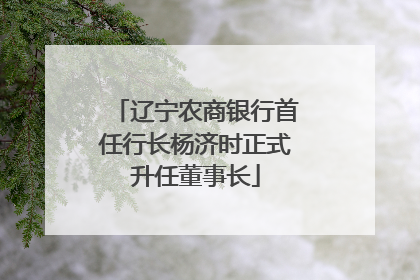 辽宁农商银行首任行长杨济时正式升任董事长