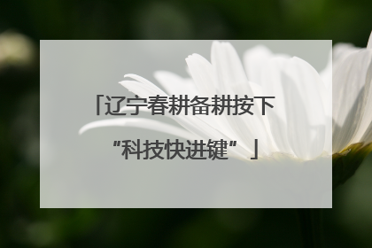 辽宁春耕备耕按下“科技快进键”
