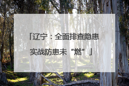 辽宁：全面排查隐患 实战防患未“燃”